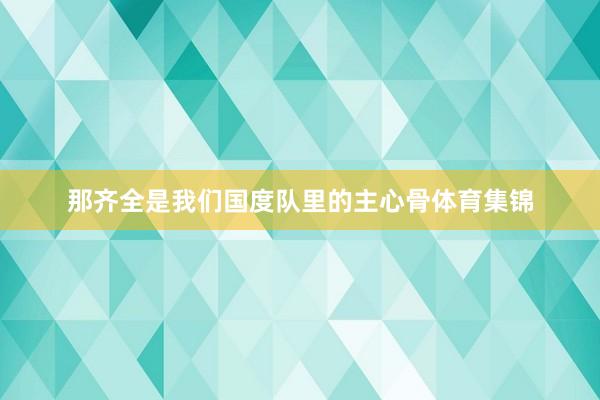那齐全是我们国度队里的主心骨体育集锦