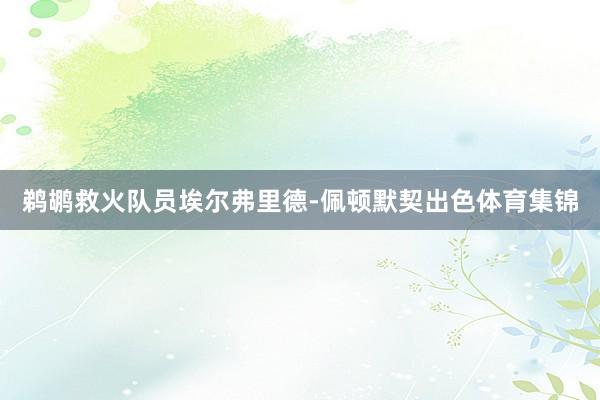 鹈鹕救火队员埃尔弗里德-佩顿默契出色体育集锦