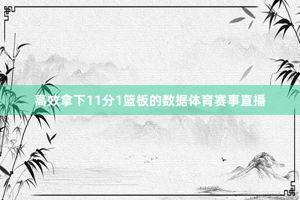 高效拿下11分1篮板的数据体育赛事直播
