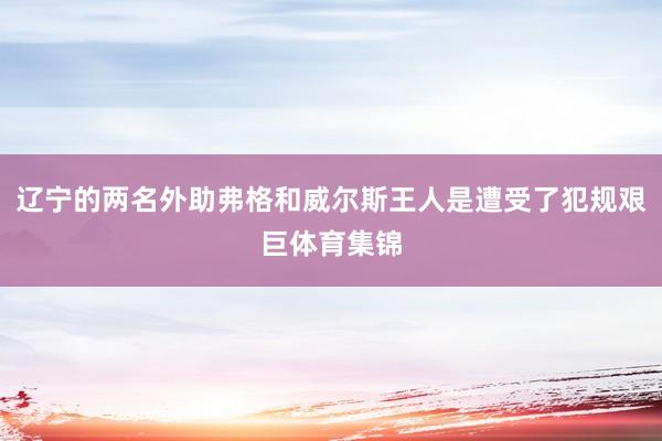 辽宁的两名外助弗格和威尔斯王人是遭受了犯规艰巨体育集锦