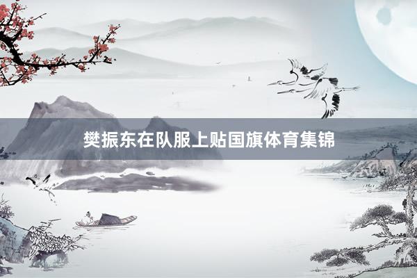 樊振东在队服上贴国旗体育集锦