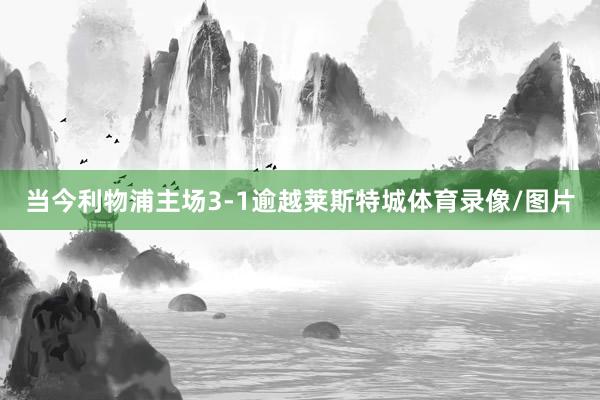 当今利物浦主场3-1逾越莱斯特城体育录像/图片