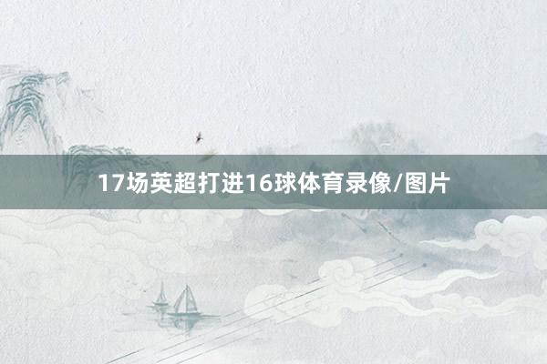 17场英超打进16球体育录像/图片