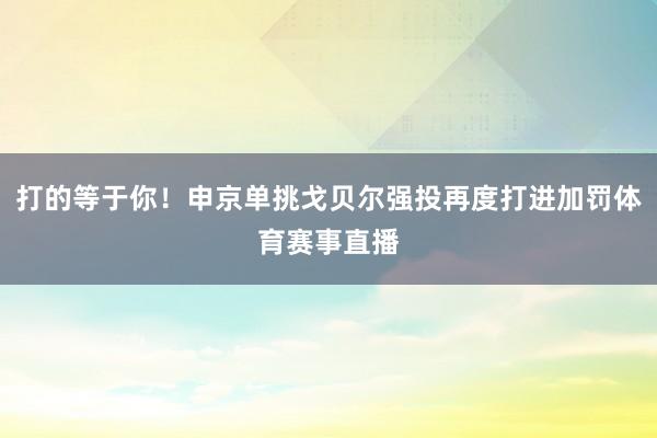 打的等于你！申京单挑戈贝尔强投再度打进加罚体育赛事直播