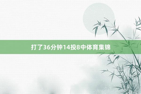 打了36分钟14投8中体育集锦