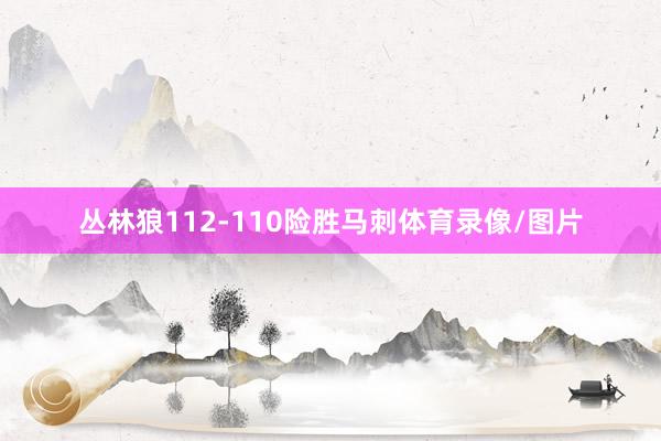 丛林狼112-110险胜马刺体育录像/图片