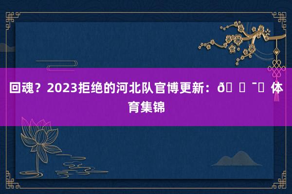 回魂？2023拒绝的河北队官博更新：🕯️体育集锦