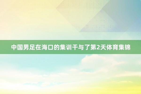 中国男足在海口的集训干与了第2天体育集锦
