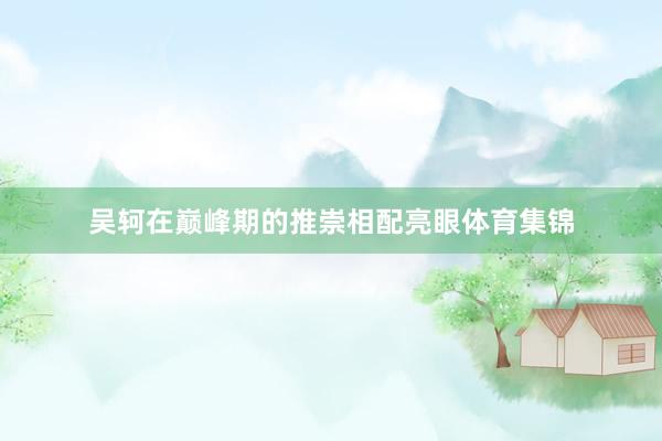 吴轲在巅峰期的推崇相配亮眼体育集锦