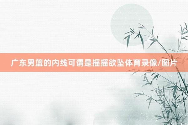广东男篮的内线可谓是摇摇欲坠体育录像/图片