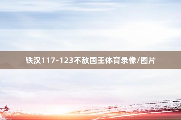铁汉117-123不敌国王体育录像/图片