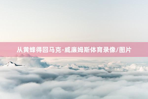 从黄蜂得回马克-威廉姆斯体育录像/图片