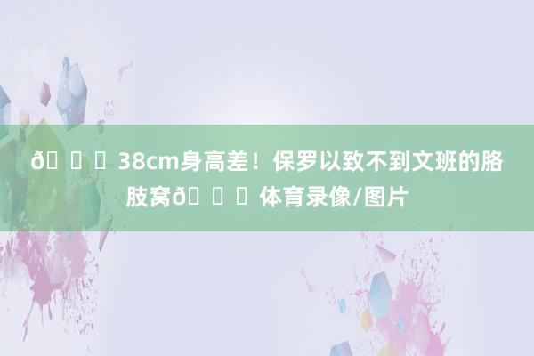 😍38cm身高差！保罗以致不到文班的胳肢窝😂体育录像/图片