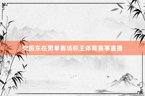 樊振东在男单赛场称王体育赛事直播