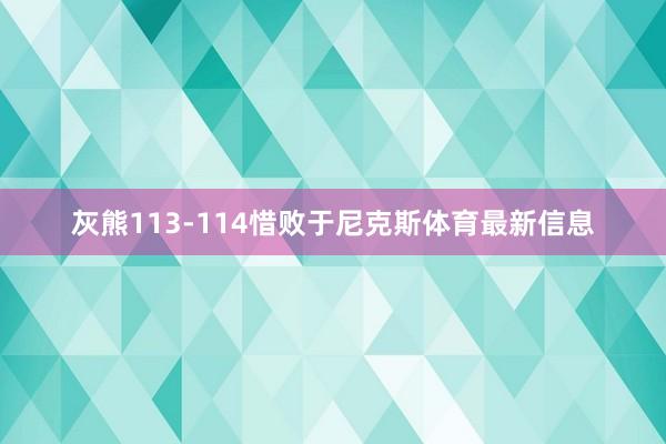 灰熊113-114惜败于尼克斯体育最新信息