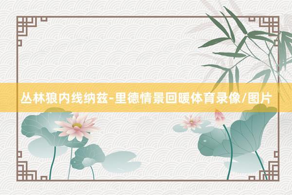 丛林狼内线纳兹-里德情景回暖体育录像/图片