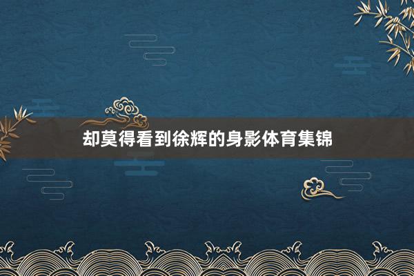 却莫得看到徐辉的身影体育集锦