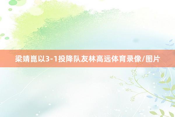 梁靖崑以3-1投降队友林高远体育录像/图片