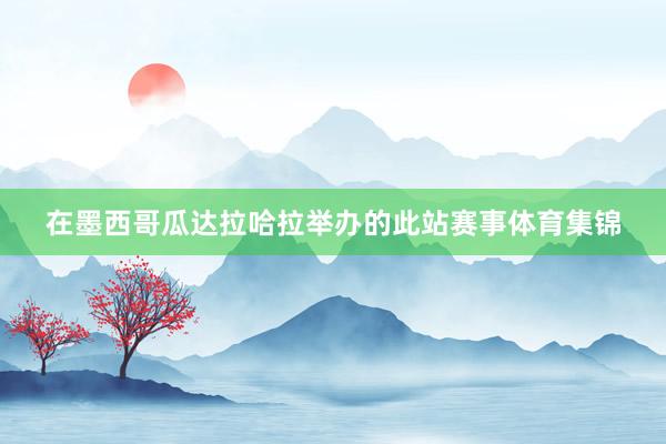 在墨西哥瓜达拉哈拉举办的此站赛事体育集锦