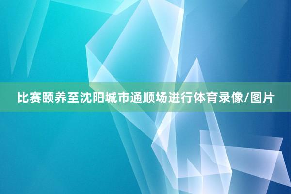比赛颐养至沈阳城市通顺场进行体育录像/图片