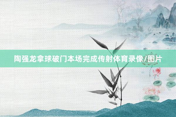 陶强龙拿球破门本场完成传射体育录像/图片