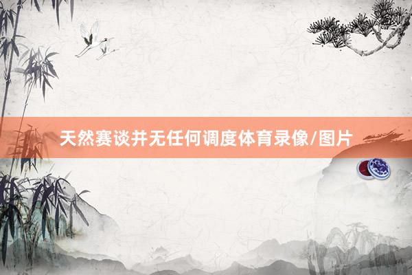 天然赛谈并无任何调度体育录像/图片