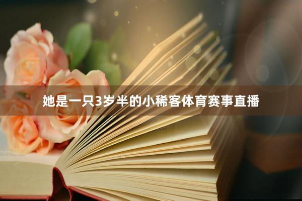 她是一只3岁半的小稀客体育赛事直播