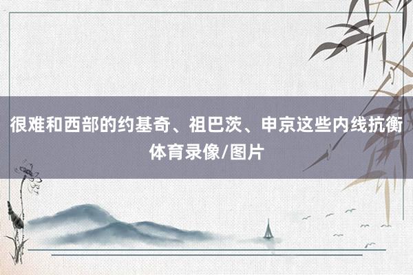 很难和西部的约基奇、祖巴茨、申京这些内线抗衡体育录像/图片