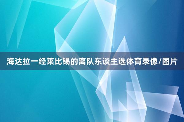 海达拉一经莱比锡的离队东谈主选体育录像/图片