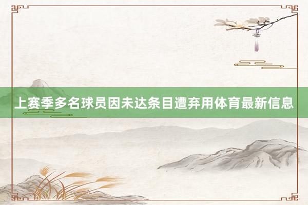 上赛季多名球员因未达条目遭弃用体育最新信息