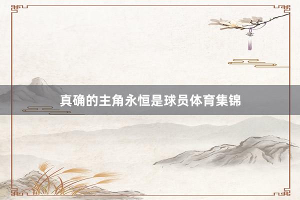 真确的主角永恒是球员体育集锦