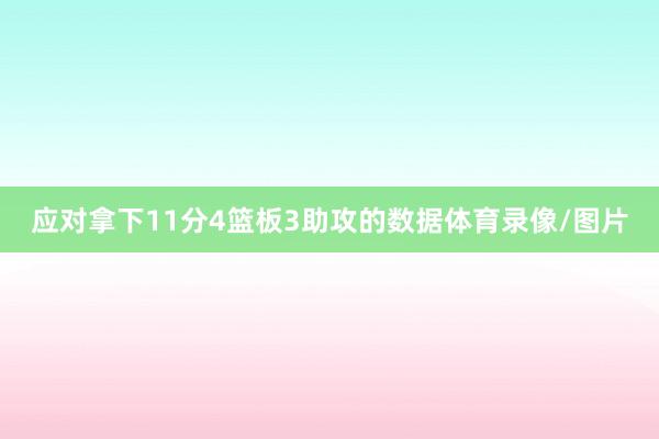 应对拿下11分4篮板3助攻的数据体育录像/图片