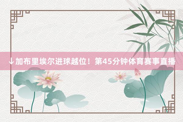 ↓加布里埃尔进球越位！第45分钟体育赛事直播