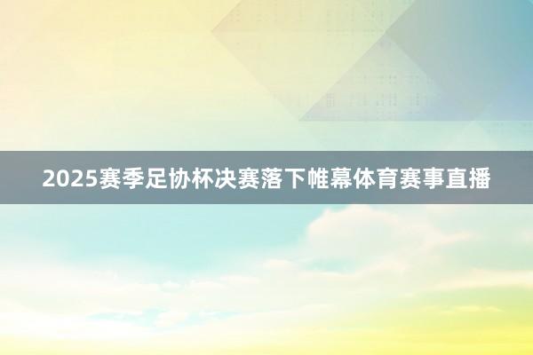 2025赛季足协杯决赛落下帷幕体育赛事直播