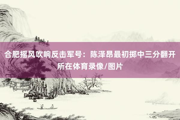 合肥摇风吹响反击军号：陈泽昂最初掷中三分翻开所在体育录像/图片