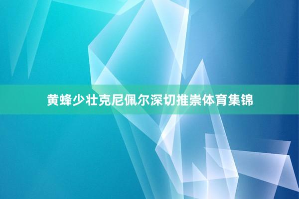 黄蜂少壮克尼佩尔深切推崇体育集锦