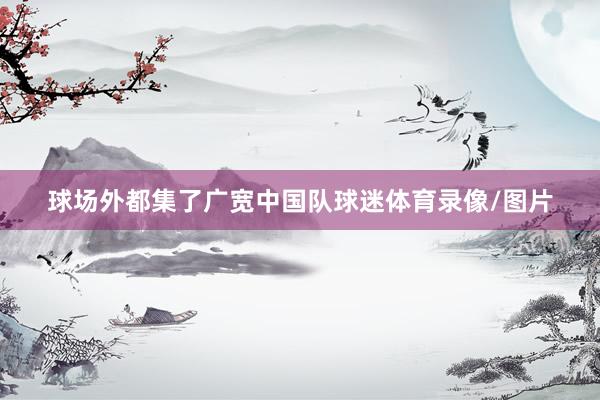 球场外都集了广宽中国队球迷体育录像/图片