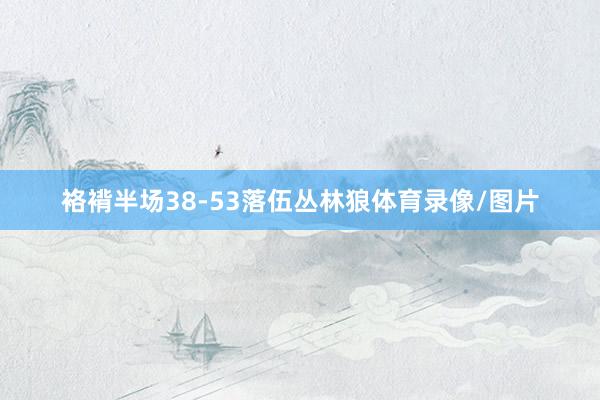 袼褙半场38-53落伍丛林狼体育录像/图片