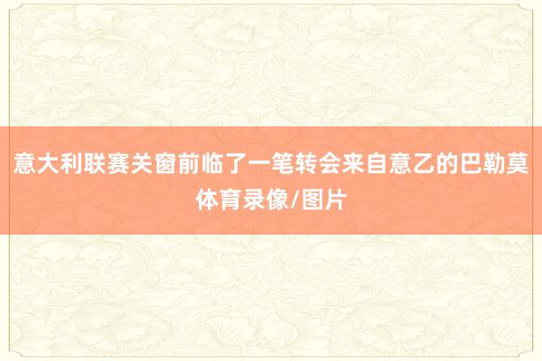 意大利联赛关窗前临了一笔转会来自意乙的巴勒莫体育录像/图片