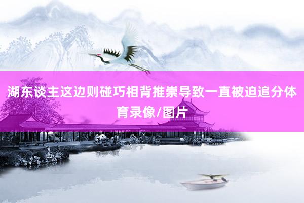 湖东谈主这边则碰巧相背推崇导致一直被迫追分体育录像/图片
