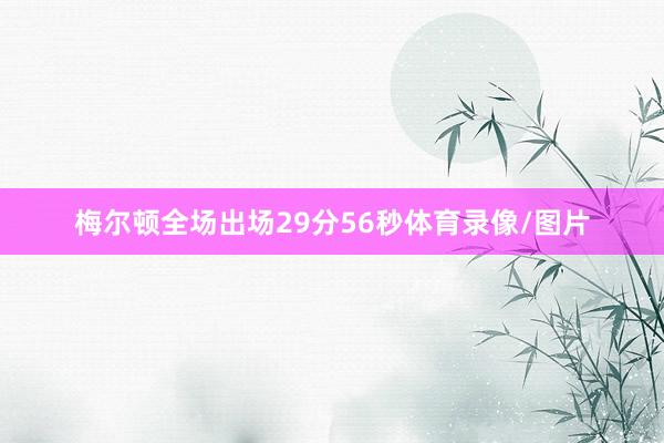 梅尔顿全场出场29分56秒体育录像/图片