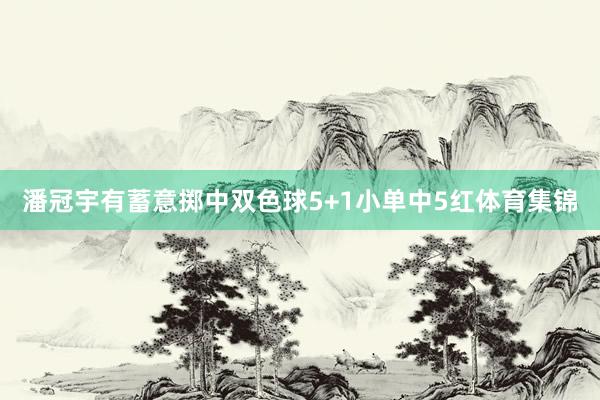 潘冠宇有蓄意掷中双色球5+1小单中5红体育集锦