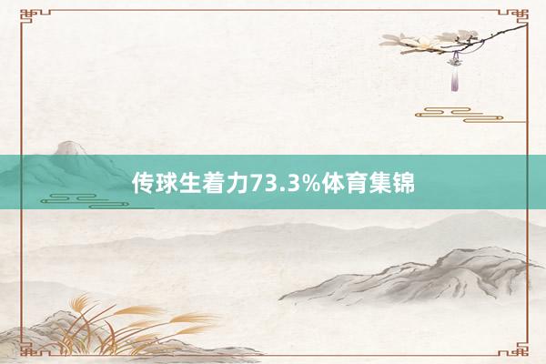 传球生着力73.3%体育集锦