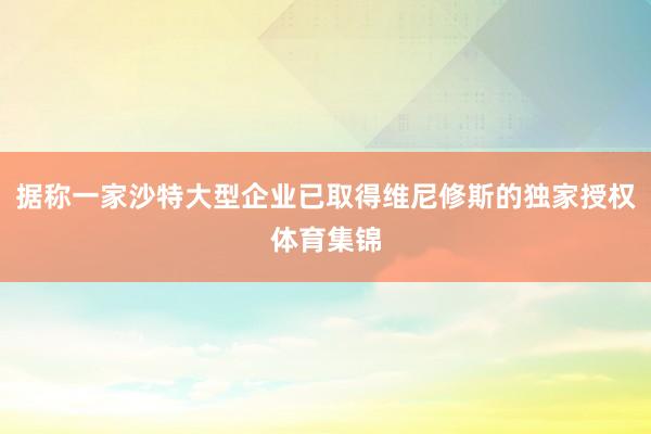 据称一家沙特大型企业已取得维尼修斯的独家授权体育集锦