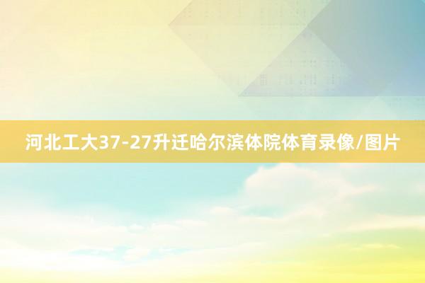 河北工大37-27升迁哈尔滨体院体育录像/图片