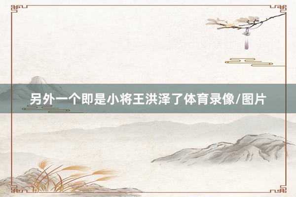 另外一个即是小将王洪泽了体育录像/图片