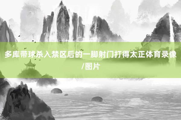 多库带球杀入禁区后的一脚射门打得太正体育录像/图片