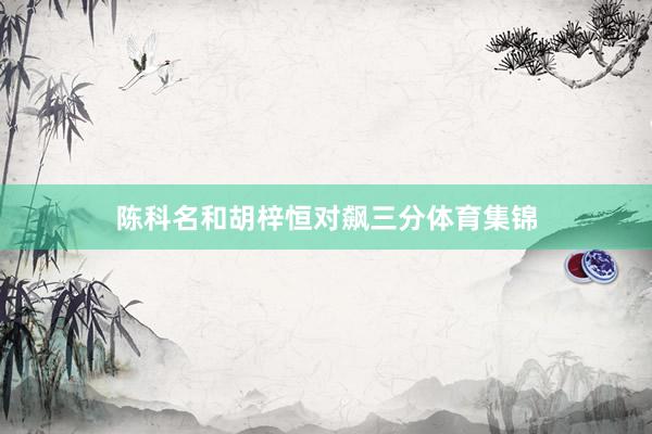 陈科名和胡梓恒对飙三分体育集锦