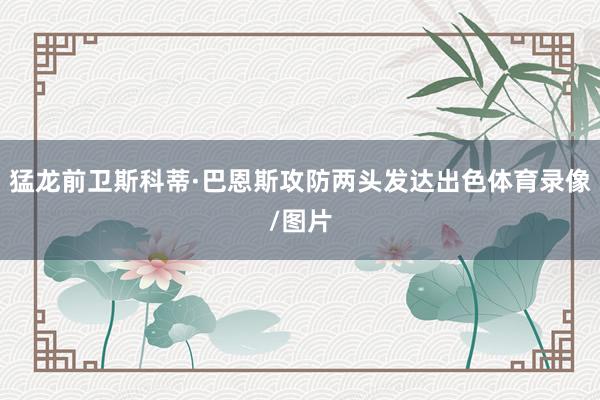猛龙前卫斯科蒂·巴恩斯攻防两头发达出色体育录像/图片