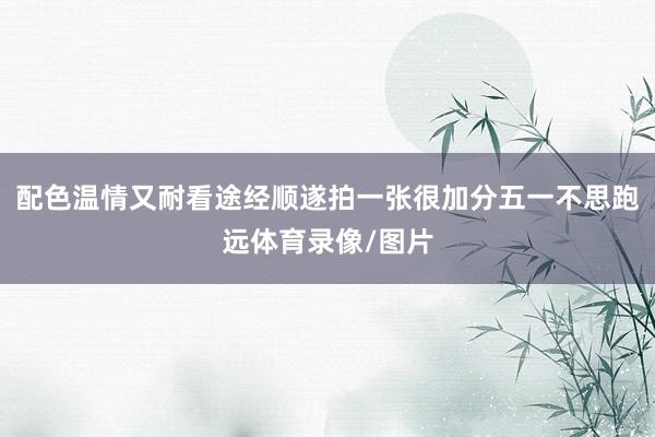 配色温情又耐看途经顺遂拍一张很加分五一不思跑远体育录像/图片